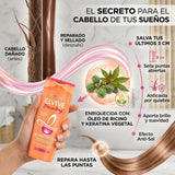 Elvive Pack 3 Shampoo Dream Long Reconstructor (370ml c/u) - Repara Largos y Sella Puntas Abiertas